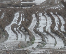 Flysch Landscape